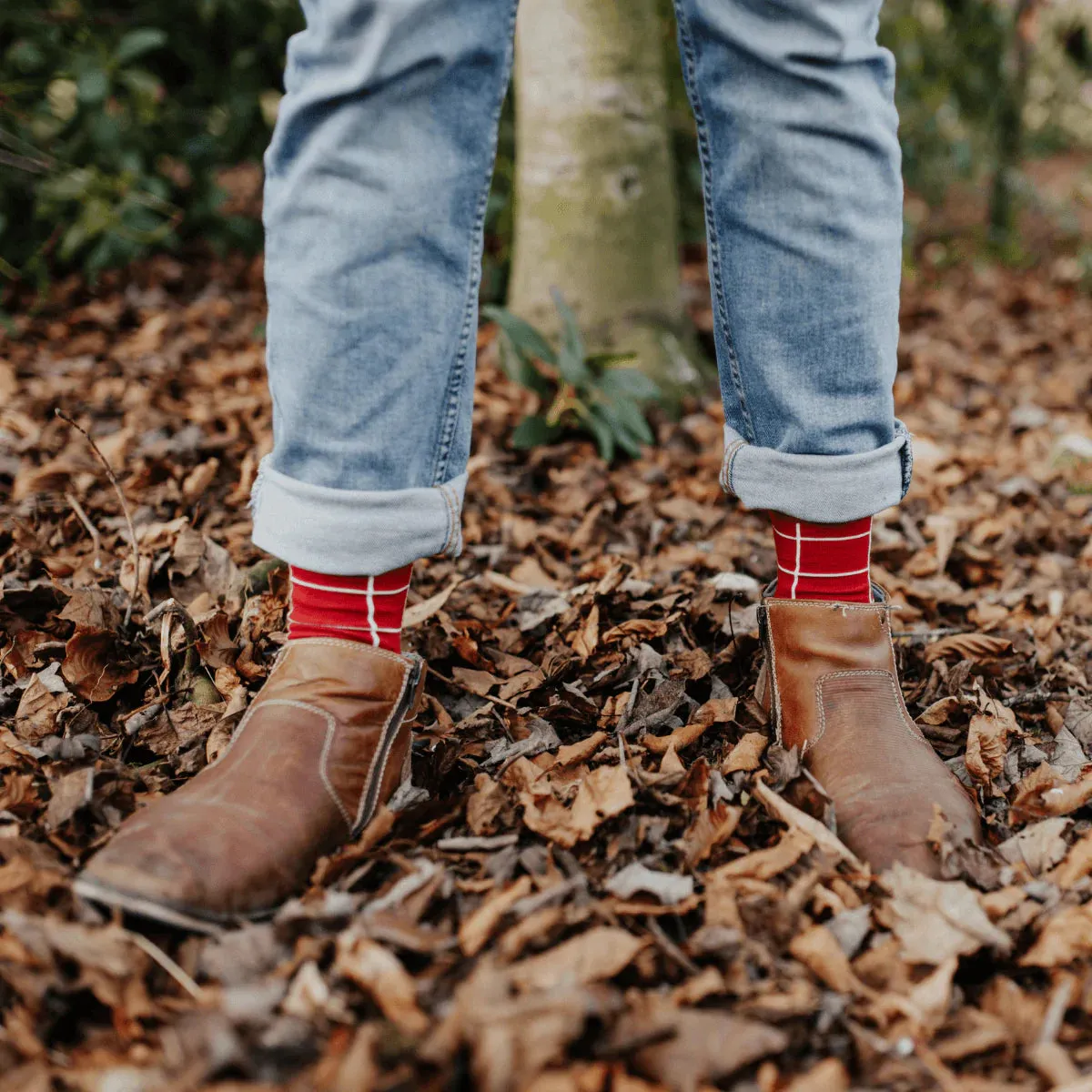 Chimney Socks (2-4 years and Adult)